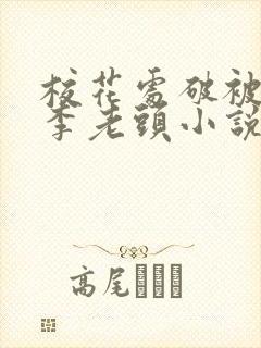 校花处破被灌满李老头小说