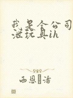 我是全公司的发泄玩具ih