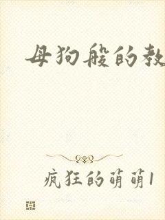母狗般的教师封面