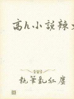 高h小说辣文