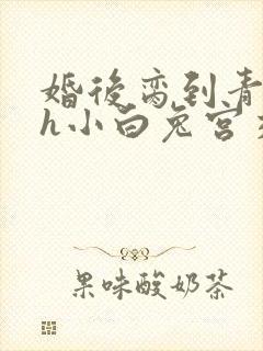 婚后脔到青梅哭h小白兔宫交h封面