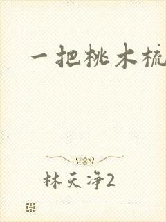 一把桃木梳封面