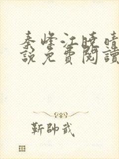 秦峰江晓晴的小说免费阅读封面