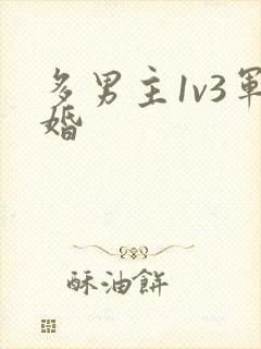 多男主1v3军婚