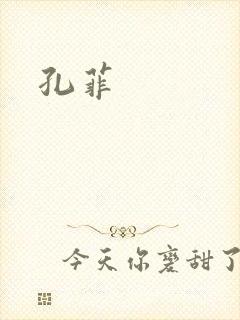 孔菲封面