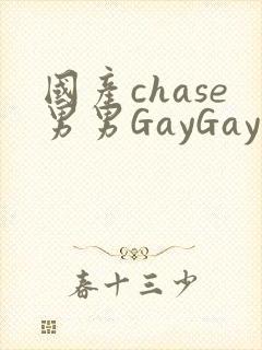 国产chase男男GayGay