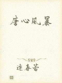 唐心风暴封面
