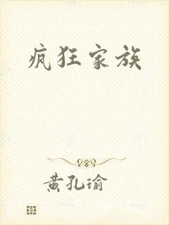 疯狂家族封面