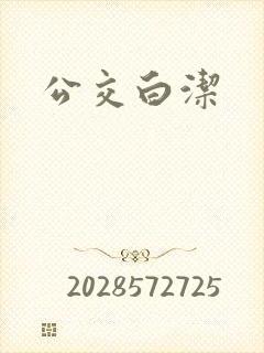 公交白洁