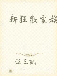 新狂欢家族小说