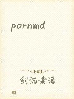 pornmd封面