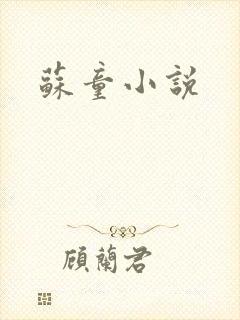 苏童小说