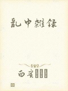乱中杂录封面
