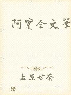 阿宾全文笔趣阁