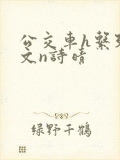 公交车h系列辣文n诗晴封面