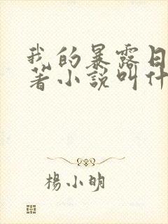 我的暴露日记原著小说叫什么封面