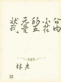 状元的小公主(我爱五花肉)封面