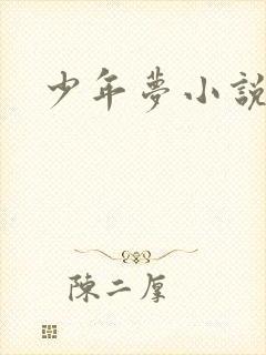 少年梦小说