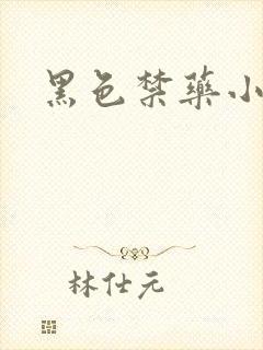 黑色禁药小说