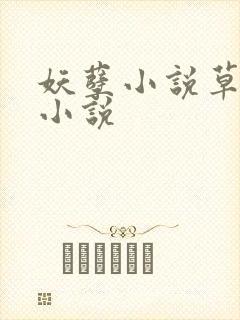 妖孽小说草莓酱小说封面