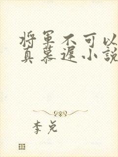 将军不可以魏云真慕迟小说笔趣阁