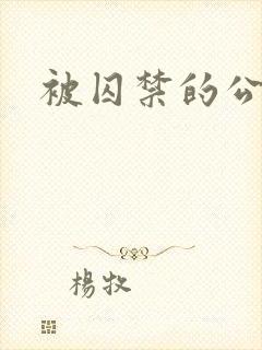 被囚禁的公主