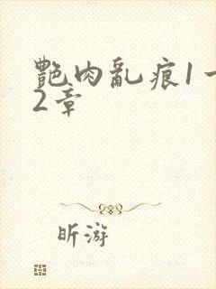 艳肉乱痕1一12章封面