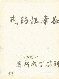 我的性孝敬封面