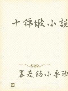 十锦缎小说