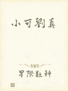 小可刘真封面