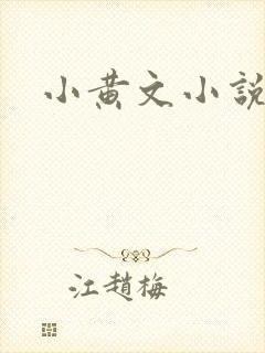 小黄文小说封面