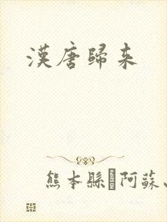 汉唐归来