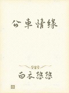 公车情缘