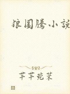狼图腾小说