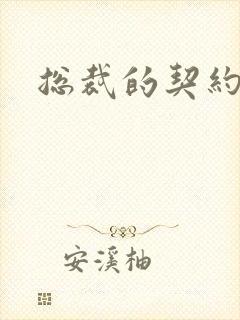 总裁的契约妻