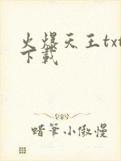火爆天王txt下载