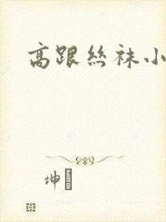 高跟丝袜小说