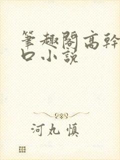 笔趣阁高干文入口小说