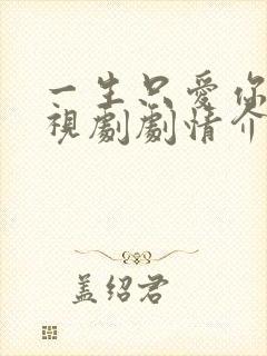 一生只爱你 电视剧剧情介绍封面