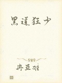 黑道狂少封面