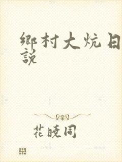 乡村大炕日b小说封面