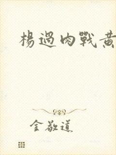 杨过肉战黄蓉