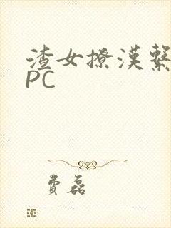 渣女撩汉系统NPC