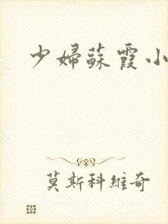 少妇苏霞小说