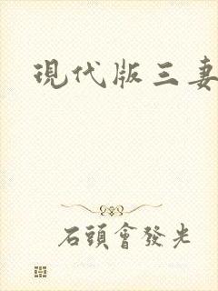 现代版三妻四妾封面