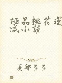 极品桃花运未删减小说