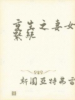 重生之妻女掠夺系统封面