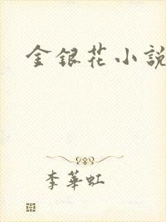 金银花小说乐可封面