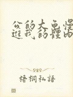 公的大龟慢慢挺进我的体内