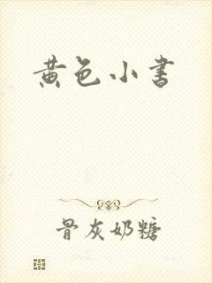 黄色小书